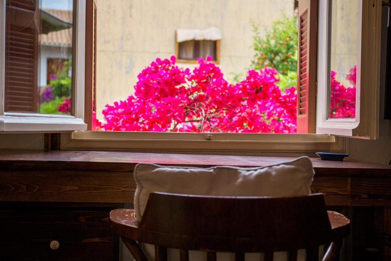 Lefkada Town Traditional House / Cozy Yard Dış mekan fotoğraf